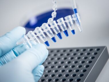 SMA researchers awarded grants