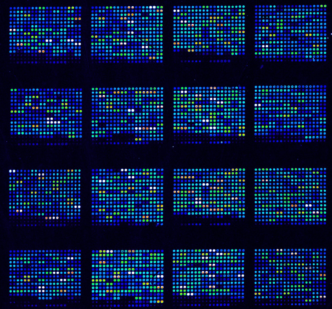 DNA microarrays are used in biological research to simultaneously measure the expression of thousand of genes