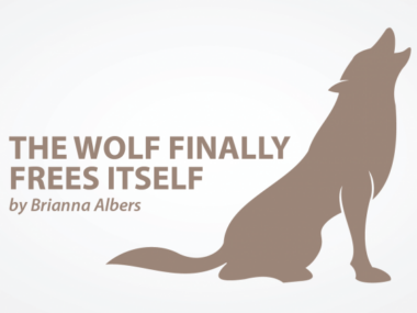 balance, normal, resisting, intersectional disability advocacy, self image