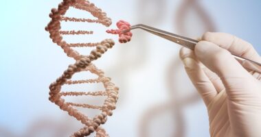 SMA epigenetics