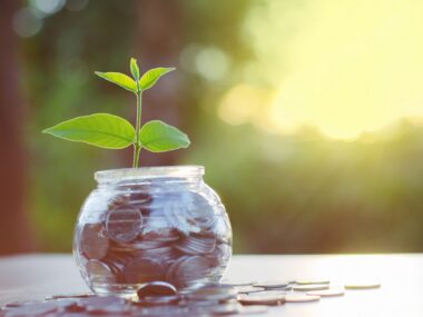 grow, fundraising, independence