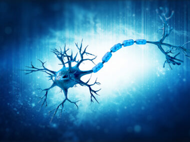 chronic pain signalling pathway