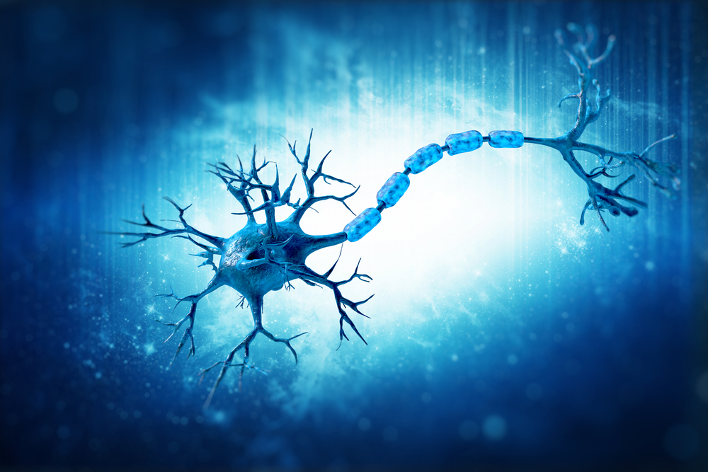 Inhibiting Cell Signaling Pathway May Help Reduce Chronic Pain in SMA,  Mouse Study Shows