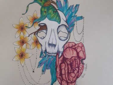 SMA The Mermaid Chronic(les)