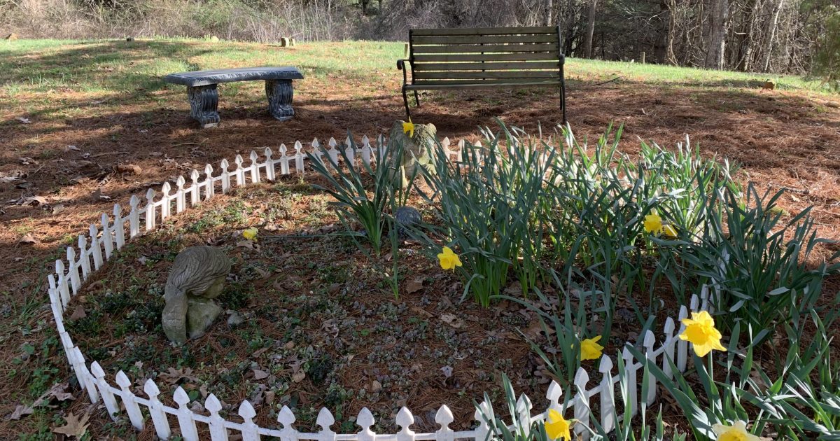 Dreams of a White Picket Fence SMA News Today