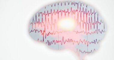 progressive myoclonic epilepsy