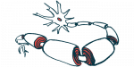 An illustration provides a close-up look at myelin, the protective coating that surrounds nerve fibers.