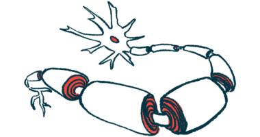 An illustration provides a close-up look at myelin, the protective coating that surrounds nerve fibers.