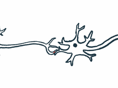 An illustration shows a close-up view of a synapse, the site where nerve impulses travel between two cells.
