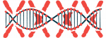 Zolgensma | SMA News Today | illustration of DNA