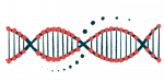 An illustration shows a DNA strand.