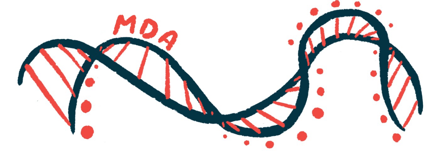 The MDA acronym is shown atop a DNA strand in this illustration for the MDA Clinical & Scientific Conference.