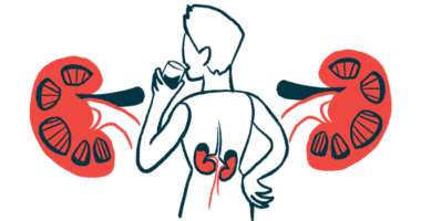 A blow-up illustration of a person's kidneys as he takes a drink.