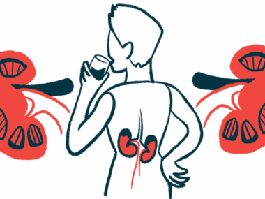 A blow-up illustration of a person's kidneys as he takes a drink.