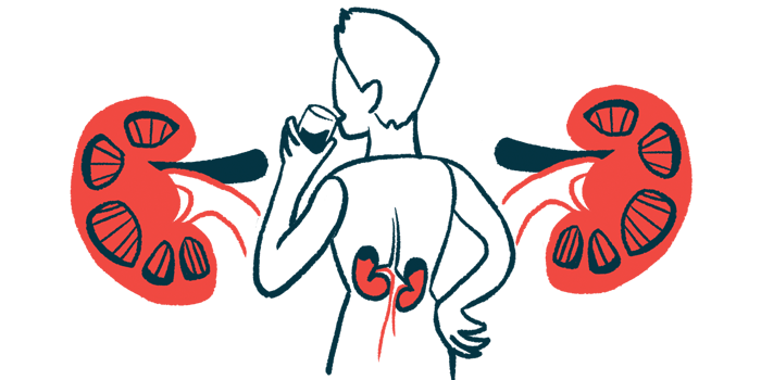 A blow-up illustration of a person's kidneys as he takes a drink.