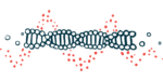 An illustration of a DNA strand is shown.