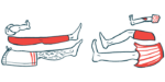 An assortment of supine legs are shown.