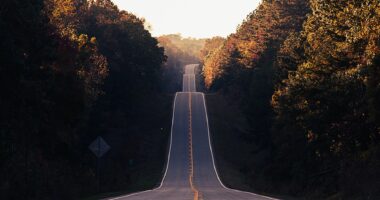 A road with hills surrounded by trees on each side.