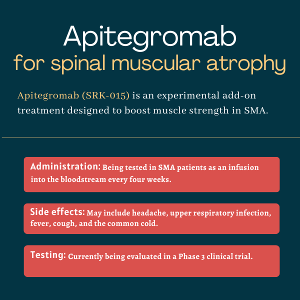 Apitegromab for SMA