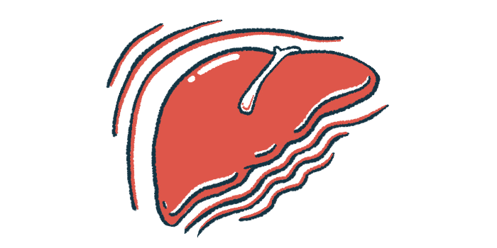 An illustration shows a close-up view of a human liver.