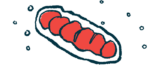 An illustration depicts mitochondria, called the power centers of cells.