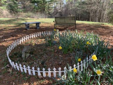 A cleared area surrounded by forest contains a small, white picket fence that forms a large circle. Halfway inside that circle, and extending out of it, are yellow daffodils. The ground is covered in brown pine needles. Two benches are seen behind the fenced-off area. 