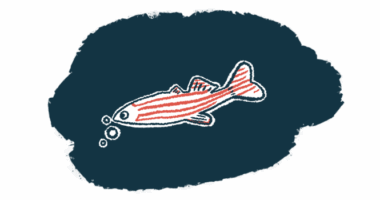 A zebrafish is seen in a black pool.