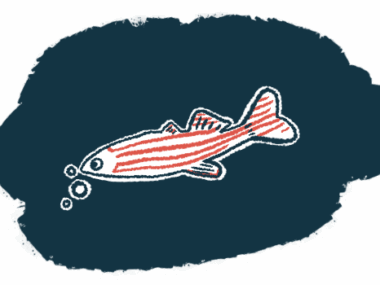 A zebrafish is seen in a black pool.