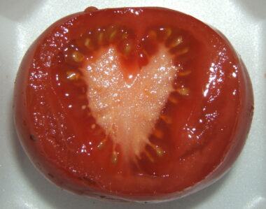 A sliced-open tomato is shown, the white of it in the shape of a heart.